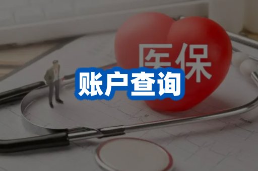 账户查询案例